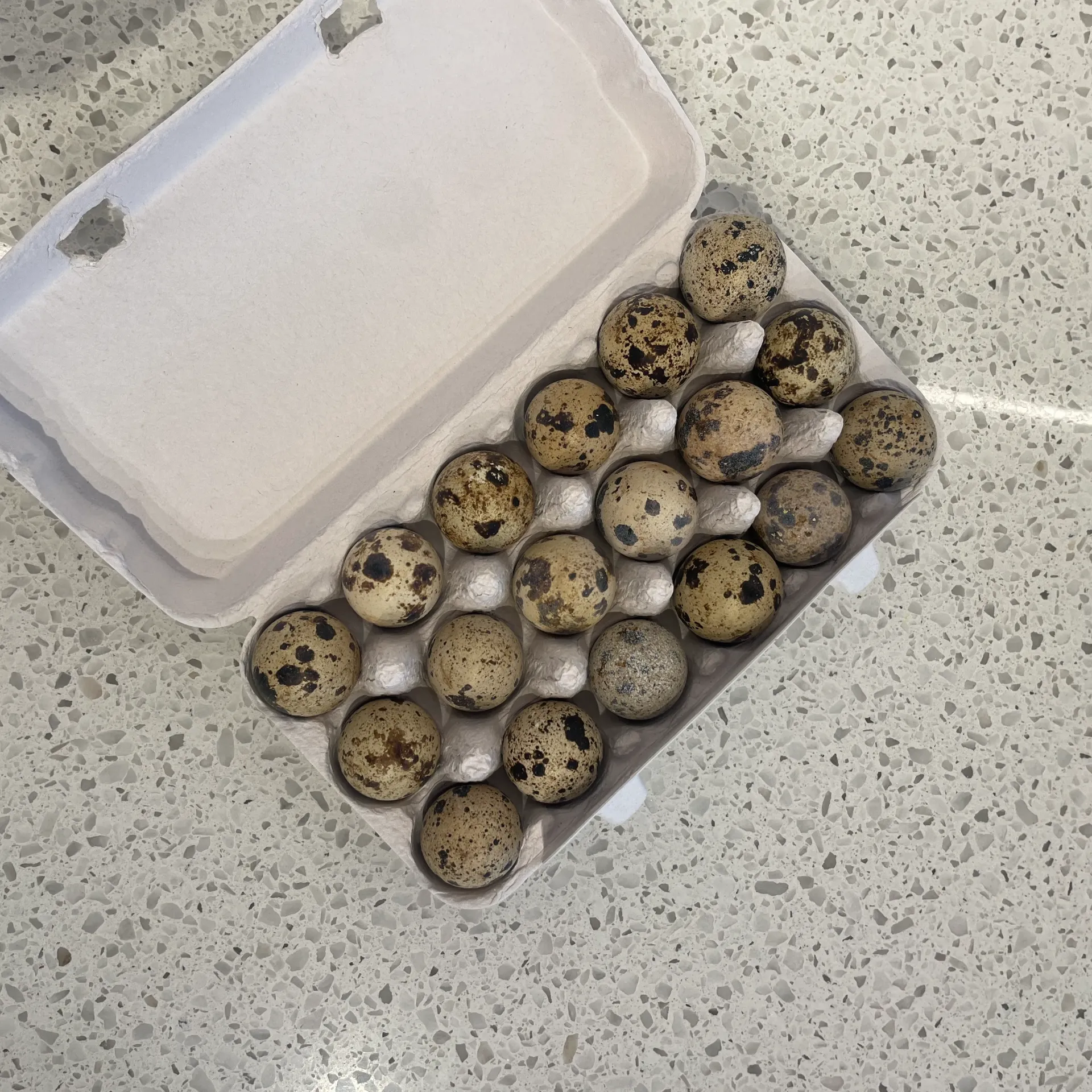 OEUFS DE CAILLE  —  Hof het Reigersvliet, Ichtegem, West—Vlanderen