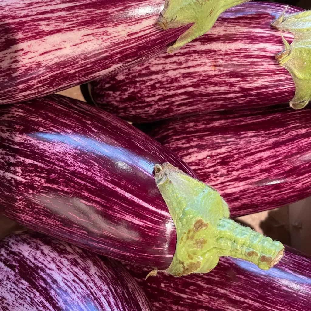 AUBERGINE GRAFFITI — Giorgio Battaglia, Comiso, Sicile