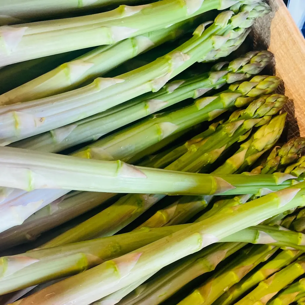 ASPERGES VERTES 22+ — Stéphane Longlune, Jurbise