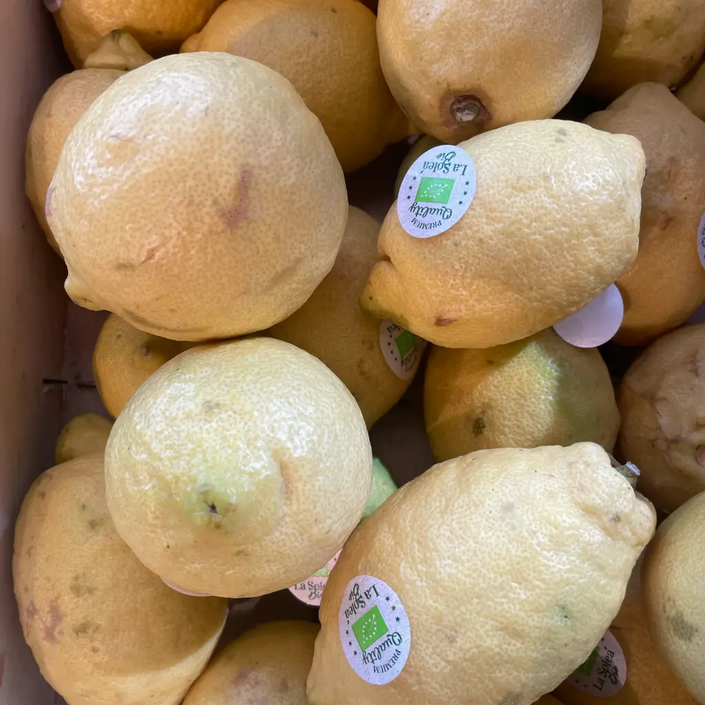 CITRON PRIMOFIORE bio — Espagne