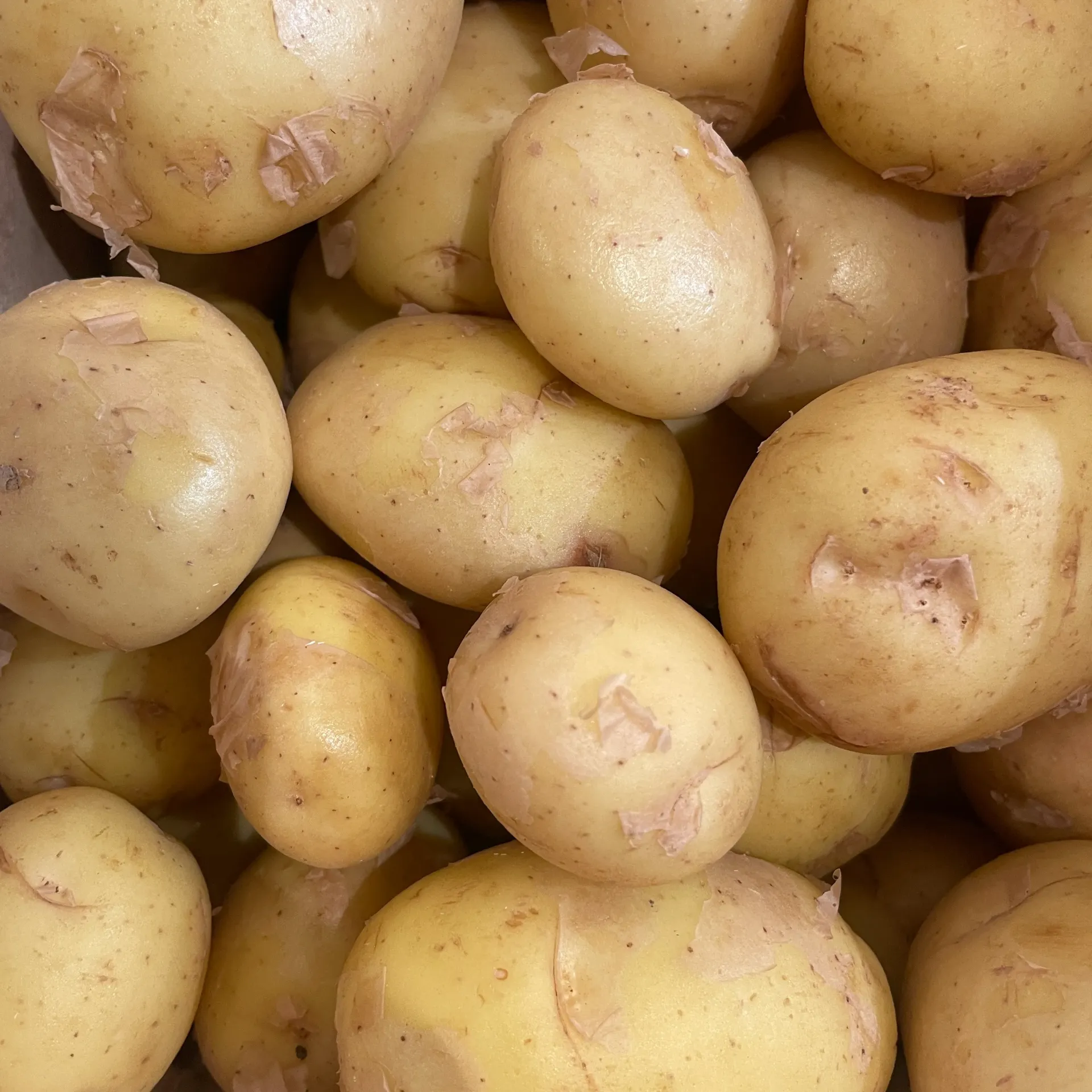 PDT Sirtema — Noirmoutier