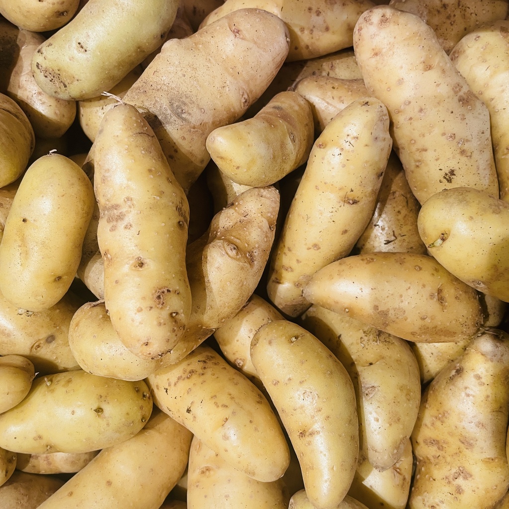 PDT Sirtema — Noirmoutier