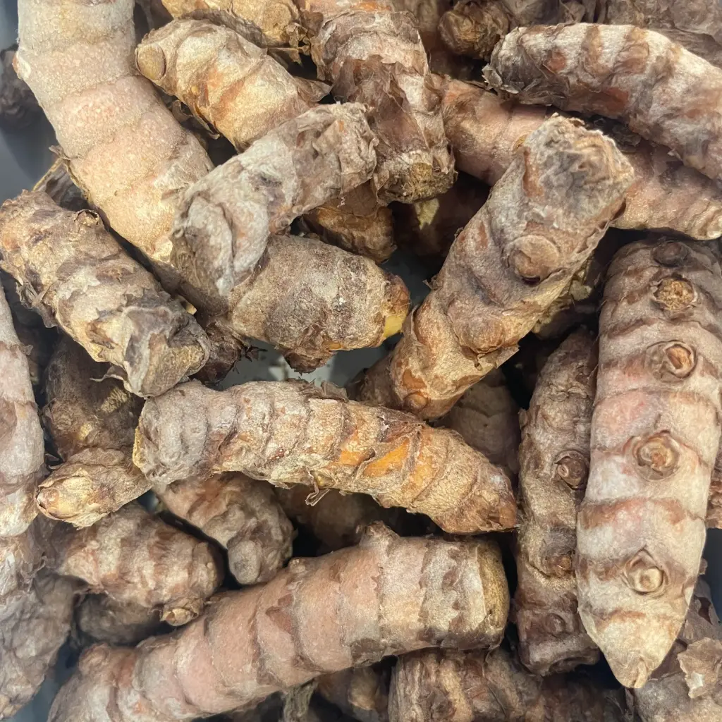 CURCUMA Frais — Alvaro Bazan