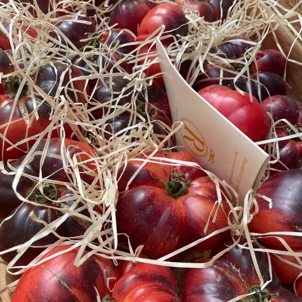 TOMATE BLUE BEAUTY  — Aurélien Ricaud, Mollégès, Provence