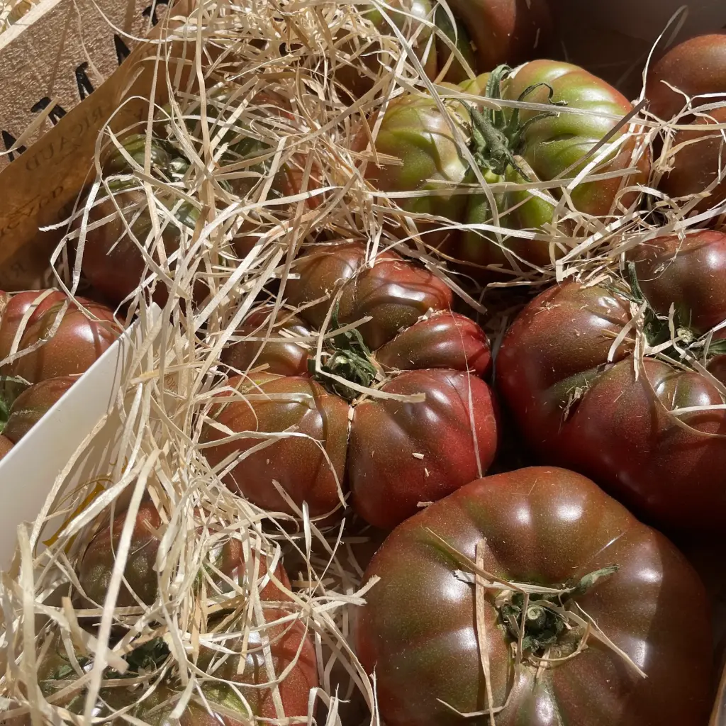 TOMATE MARMANDE  — Maison Ricaud