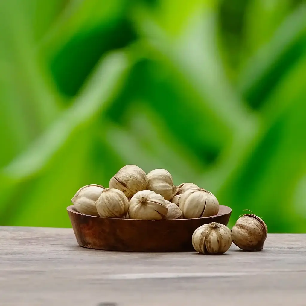 CARDAMOME SAUVAGE Entière 250g — La Plantation, Kampot, Cambodge