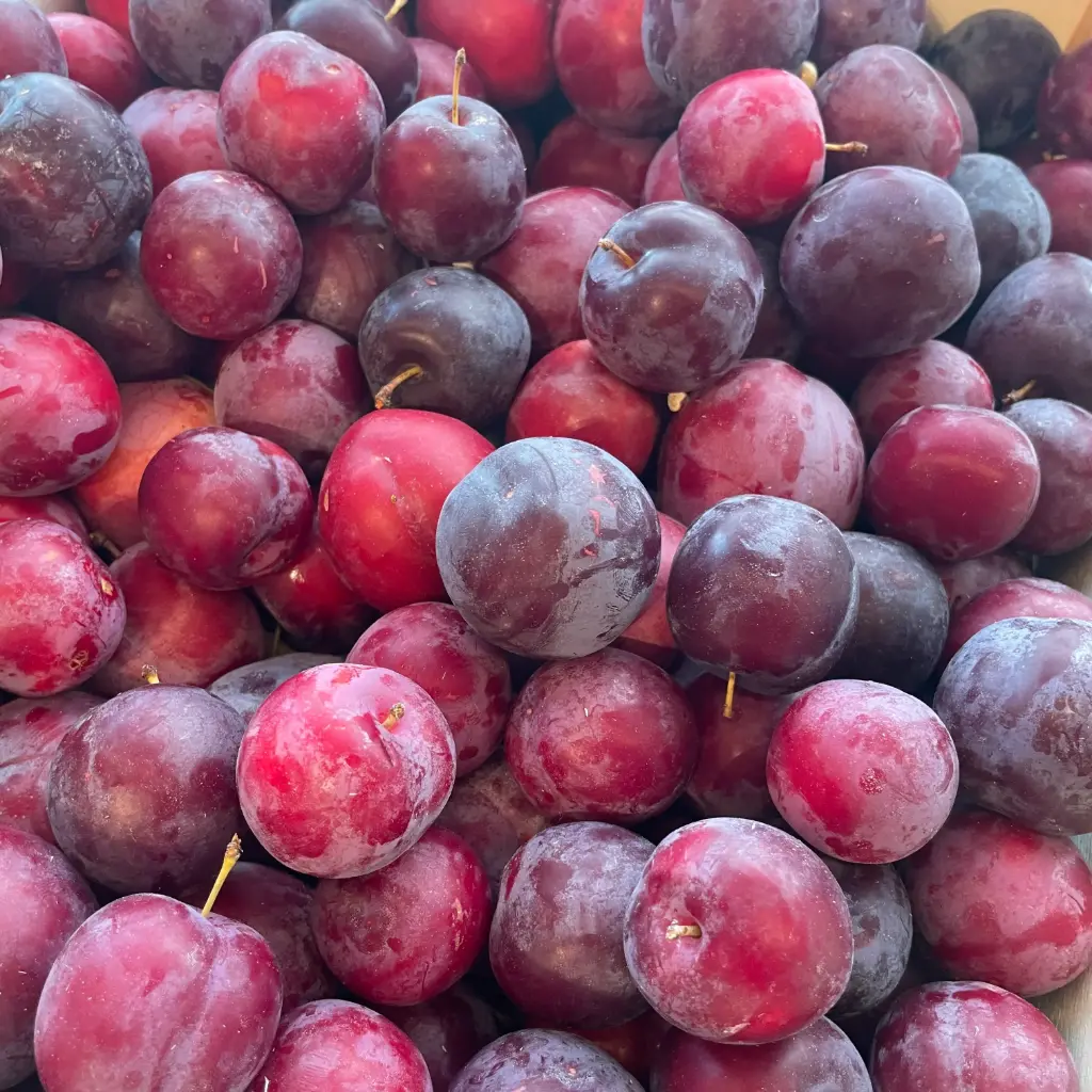 Prune Oblinaya — Saveur d'Antan