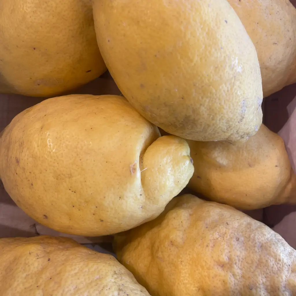 CITRON SFUSATO Amalfito bio — Aldo Miniaci, Albanella