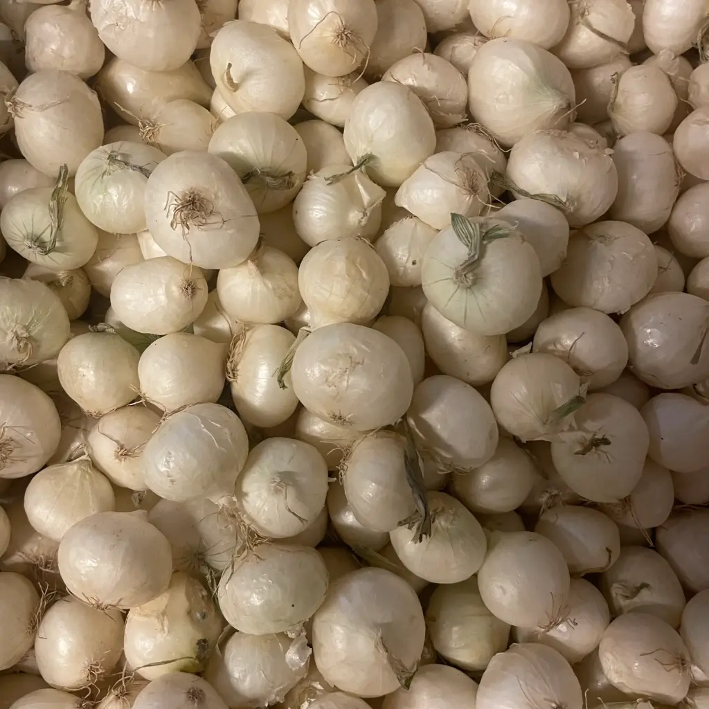 Oignons Grelot