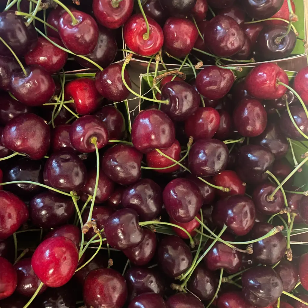 Cerises Regina — Belgique