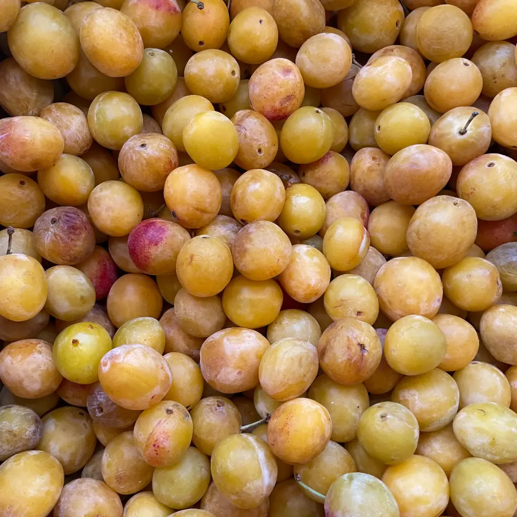 Mirabelle — Saveurs d'Antan