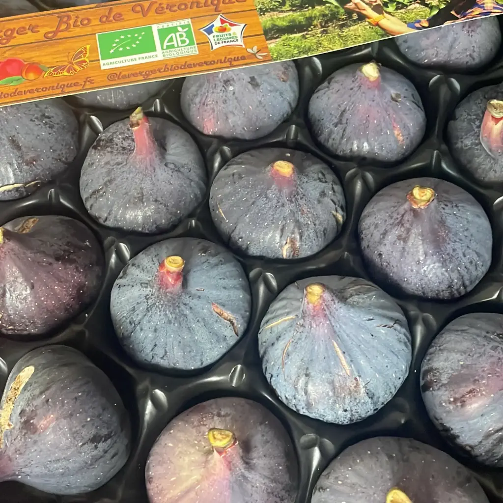 Figues Noire Bourjassotte — Vergers de Véronique