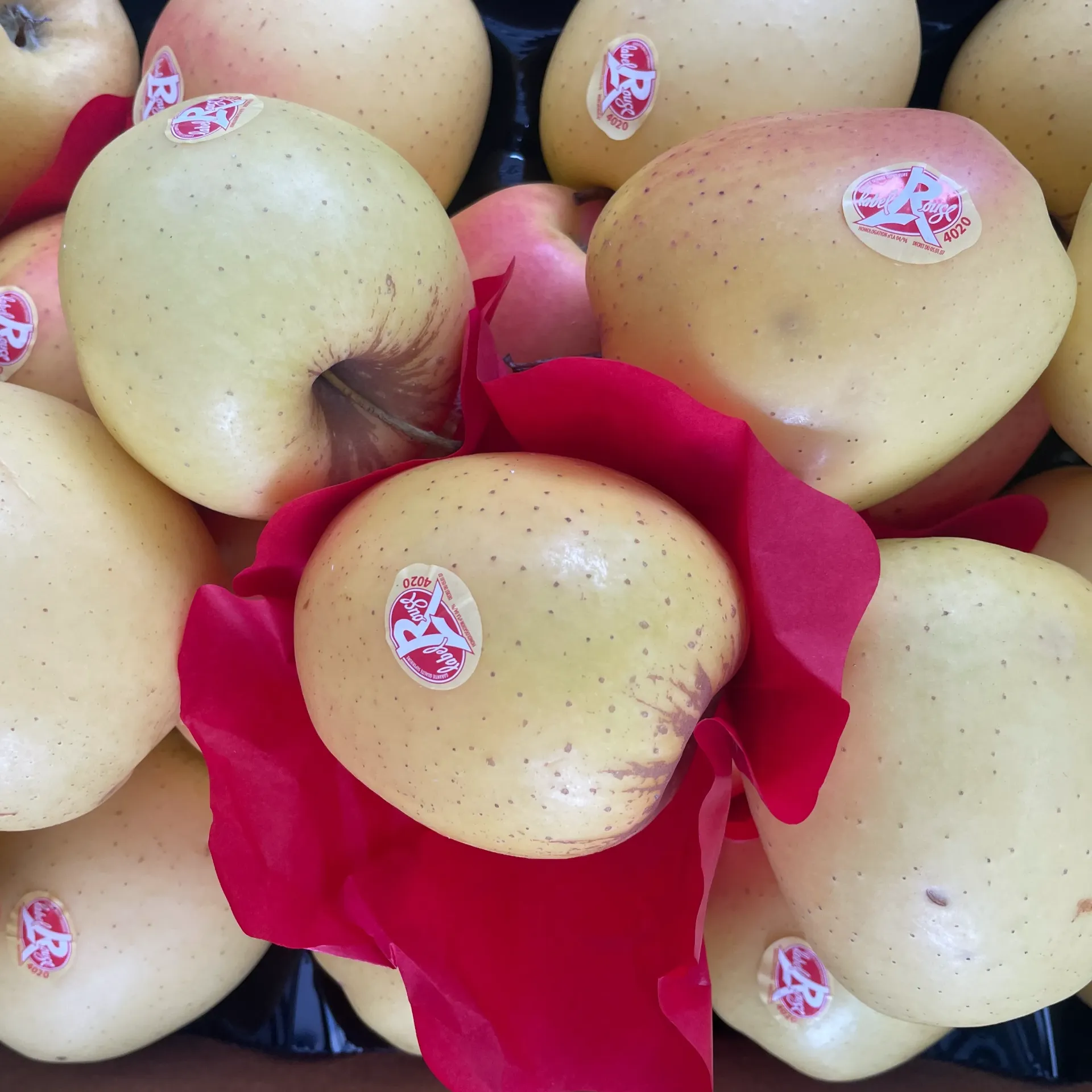 POMME GOLDEN Label Rouge — Popomme des Alpes, Ventavon