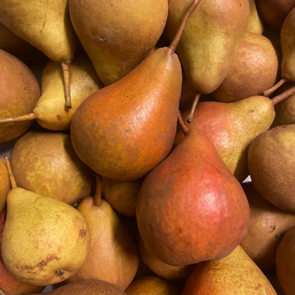 Poire Durondeau - Koen Van Eyckeren