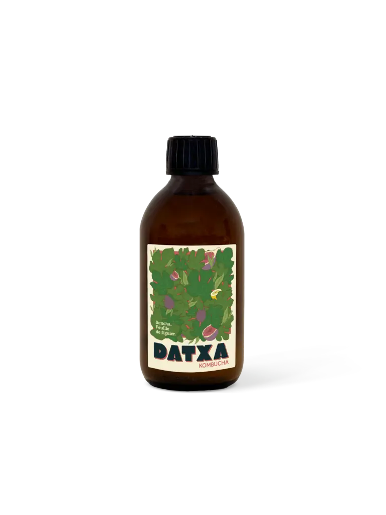 KOMBUCHA SENCHA FEUILLE DE FIGUIER — Datxa