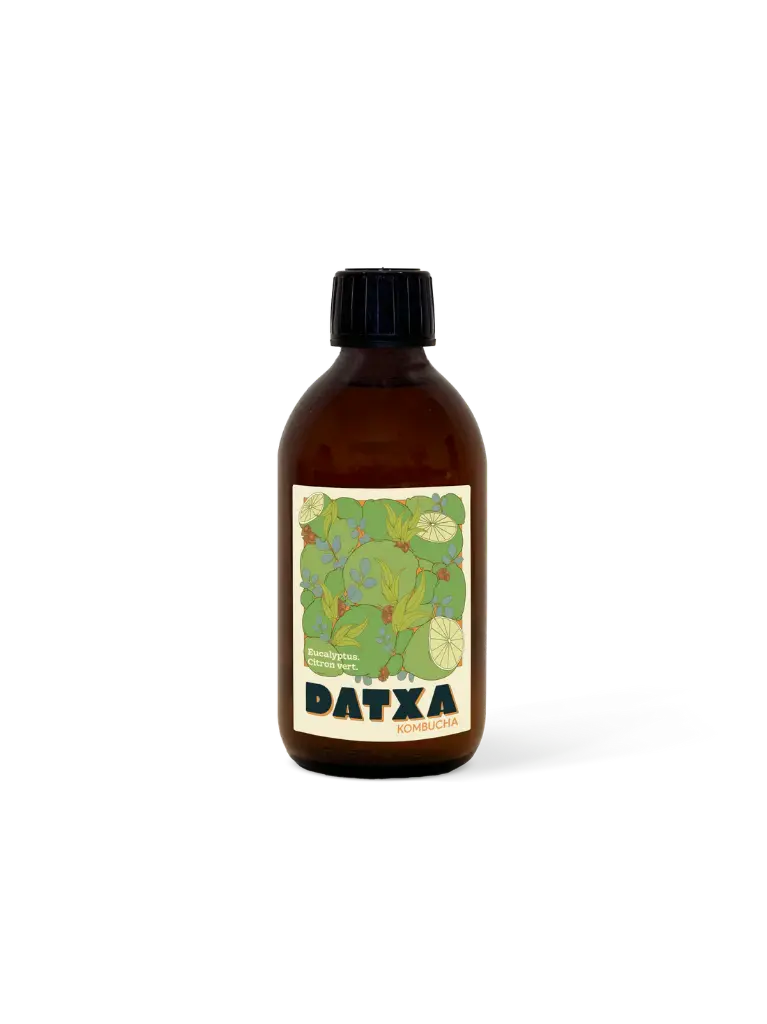 KOMBUCHA MATÉ GINGEMBRE CITRON  — Datxa