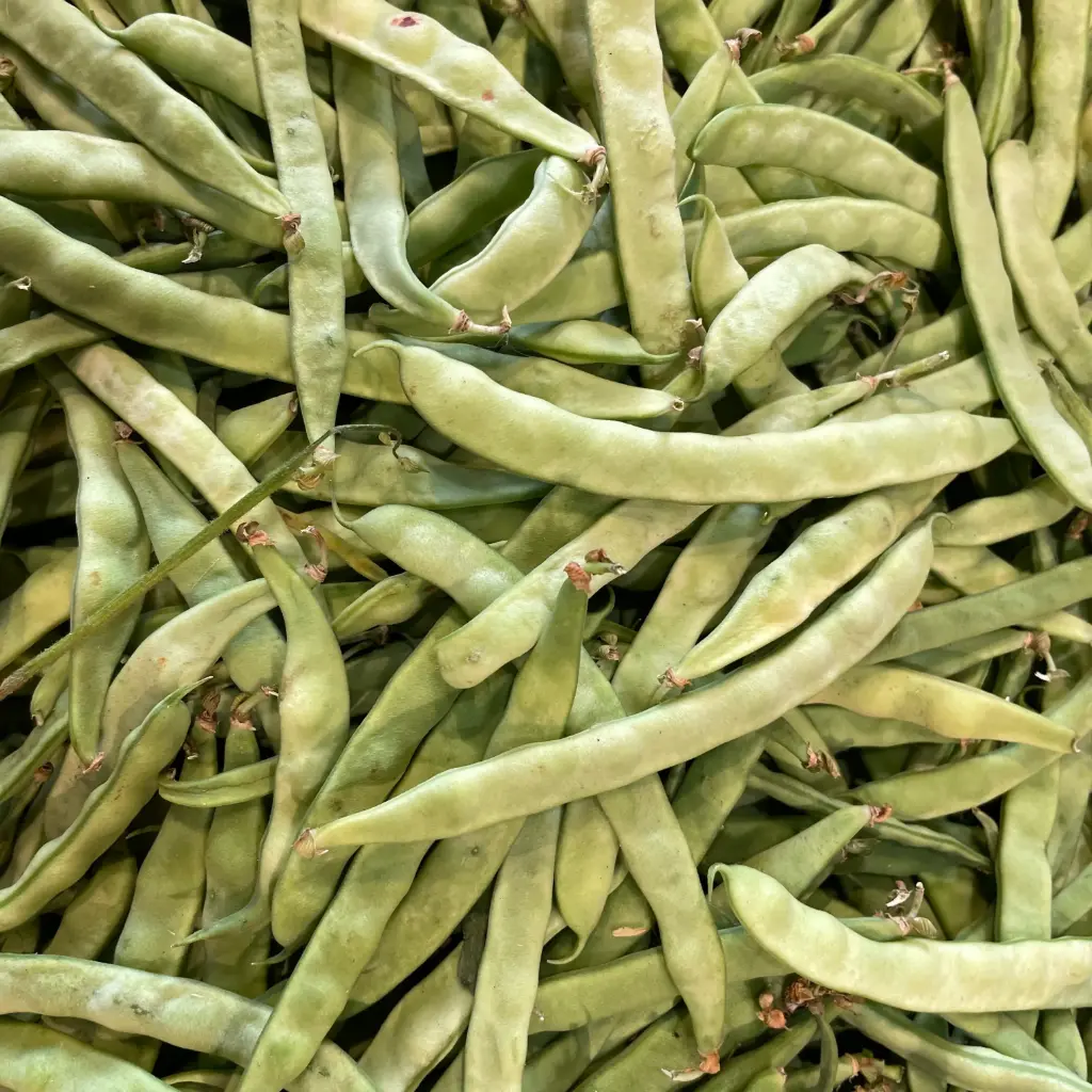 Haricot Grimpant — Koolmees