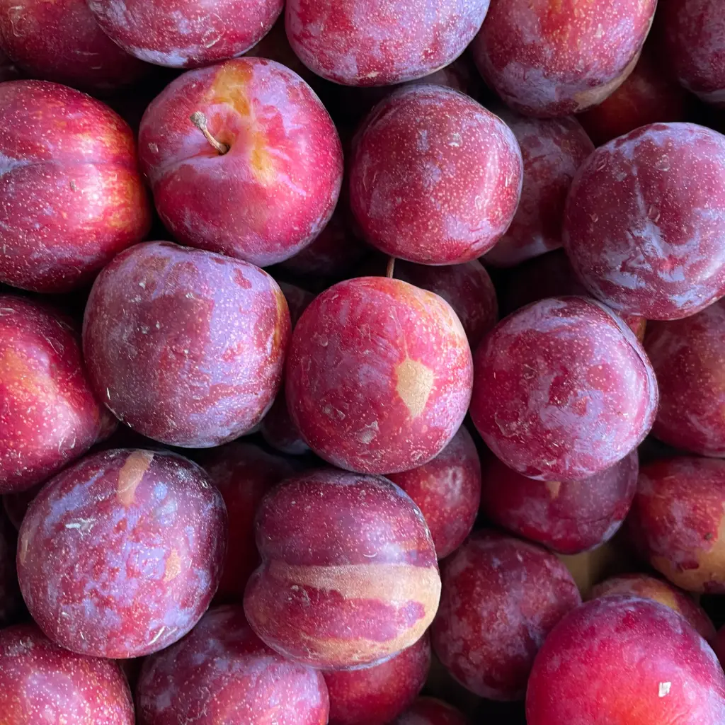 Prunes Grenadines — Leveque