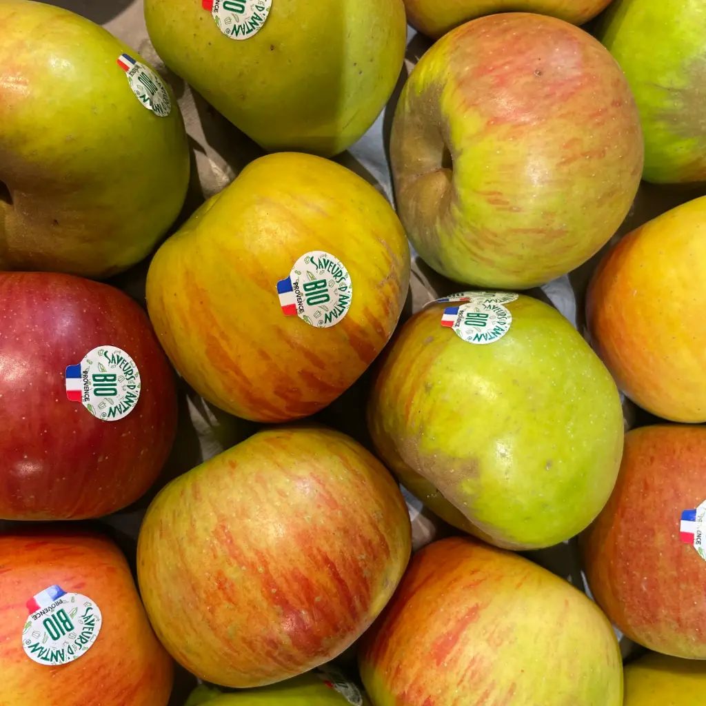 Pomme Reine de Reinette — Saveurs d'Antan