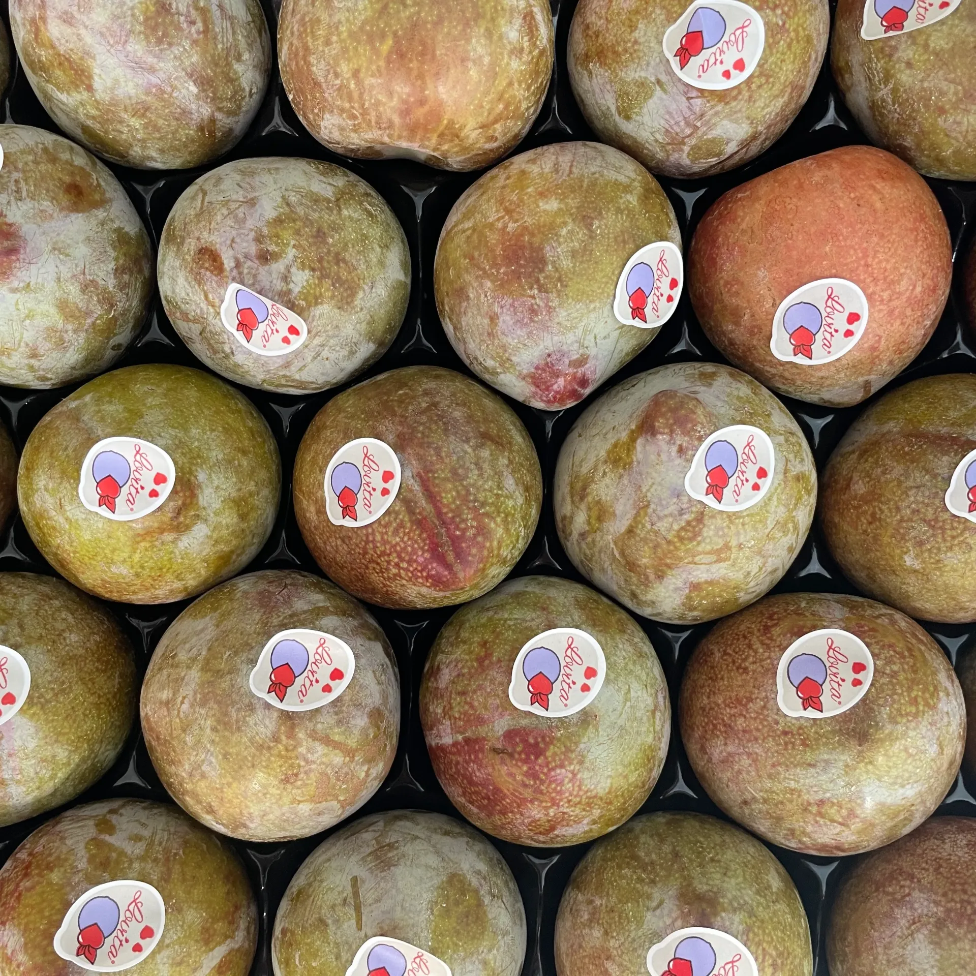 PRUNE LOVITA — Coccolo, Cavaillon