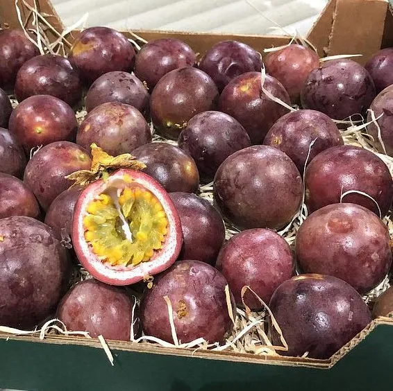 FRUITS DE LA PASSION bio — Espagne
