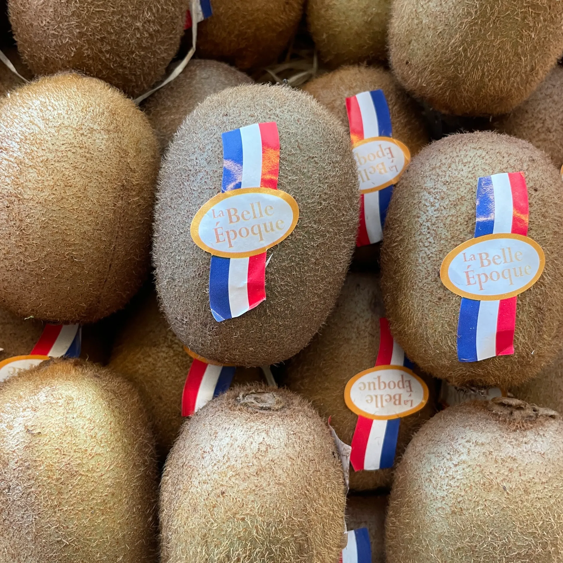 KIWI VERT Hayward /PCE — Belle Epoque, France