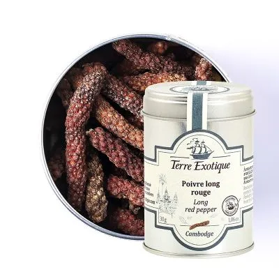 POIVRE LONG DE JAVA, Indonésie 50g — Terre Exotique