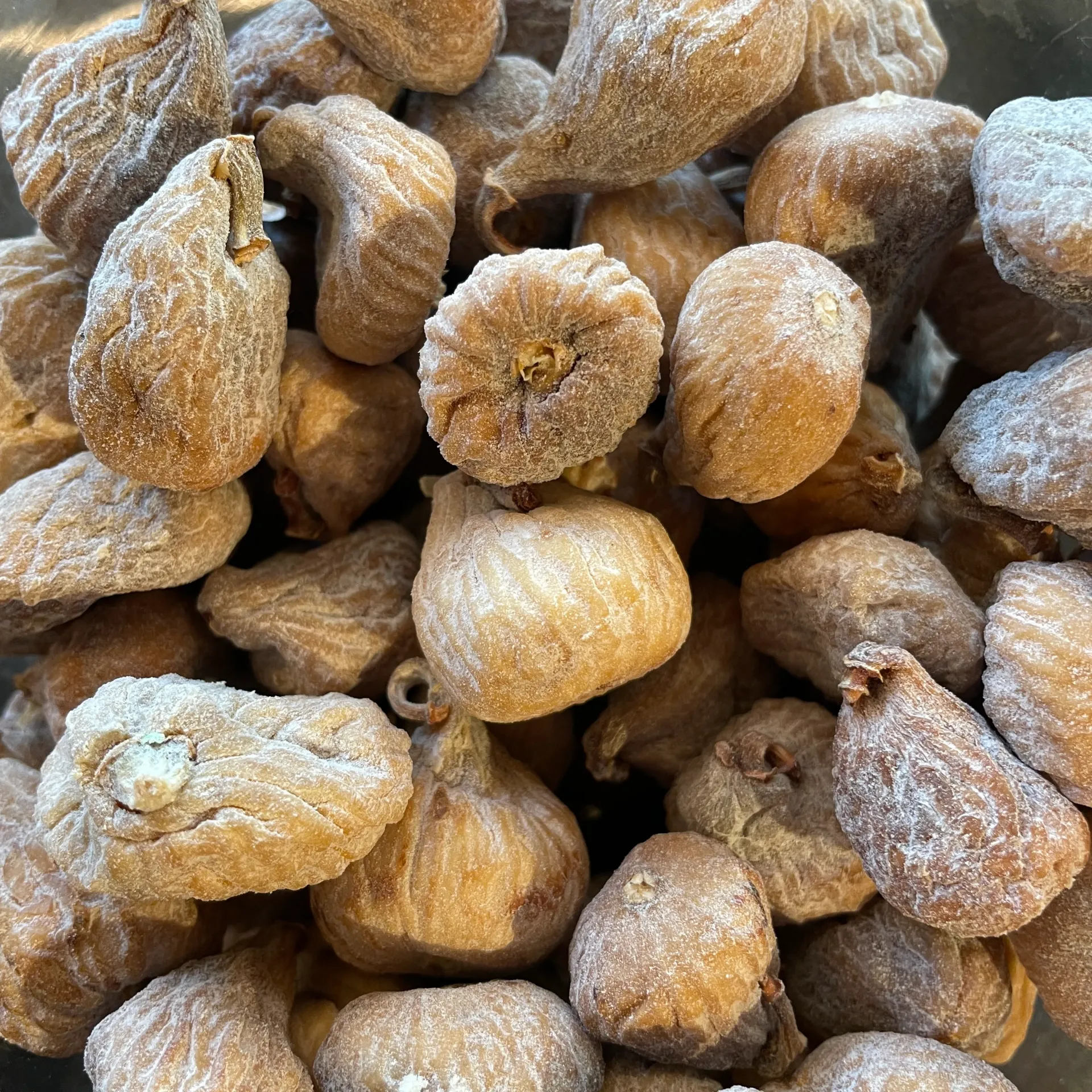 FIGUETTE  — Espagne