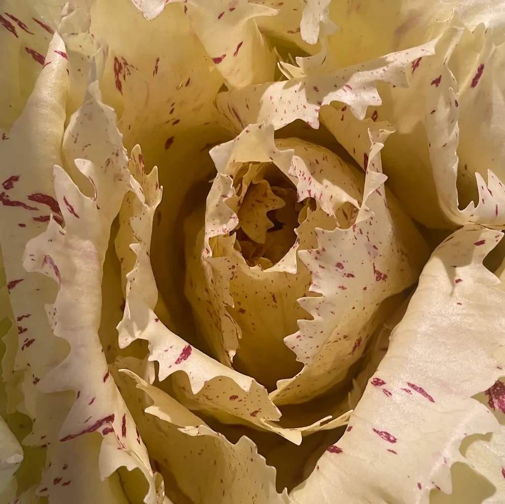 CASTEL FRANCO — Italie