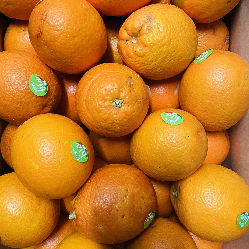 ORANGE SANGUINE TAROCCO — Sicile
