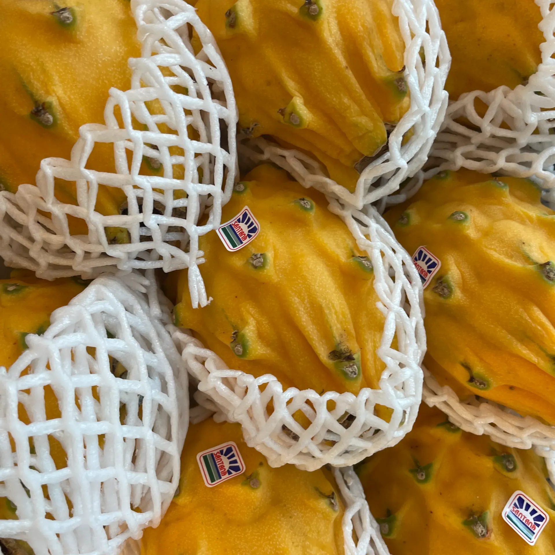 PITAHAYA Jaune - Equateur