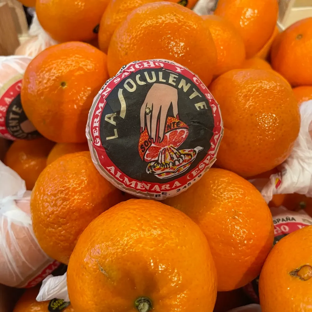 CLEMENTINE Orri — La Socculente, Valencia, Espagne