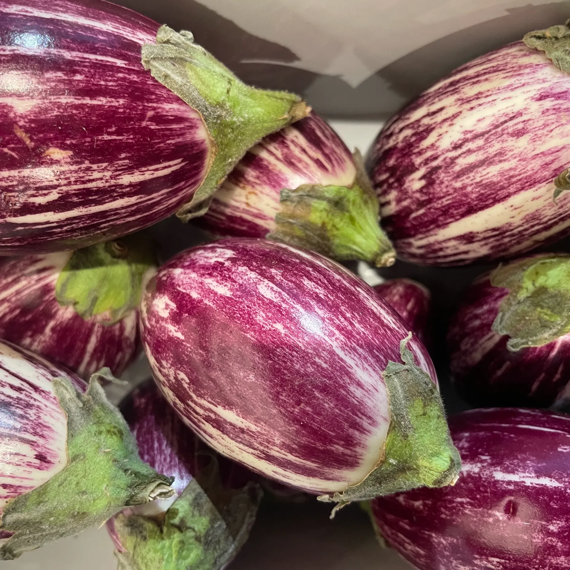 AUBERGINE Graffiti Mini - Espagne