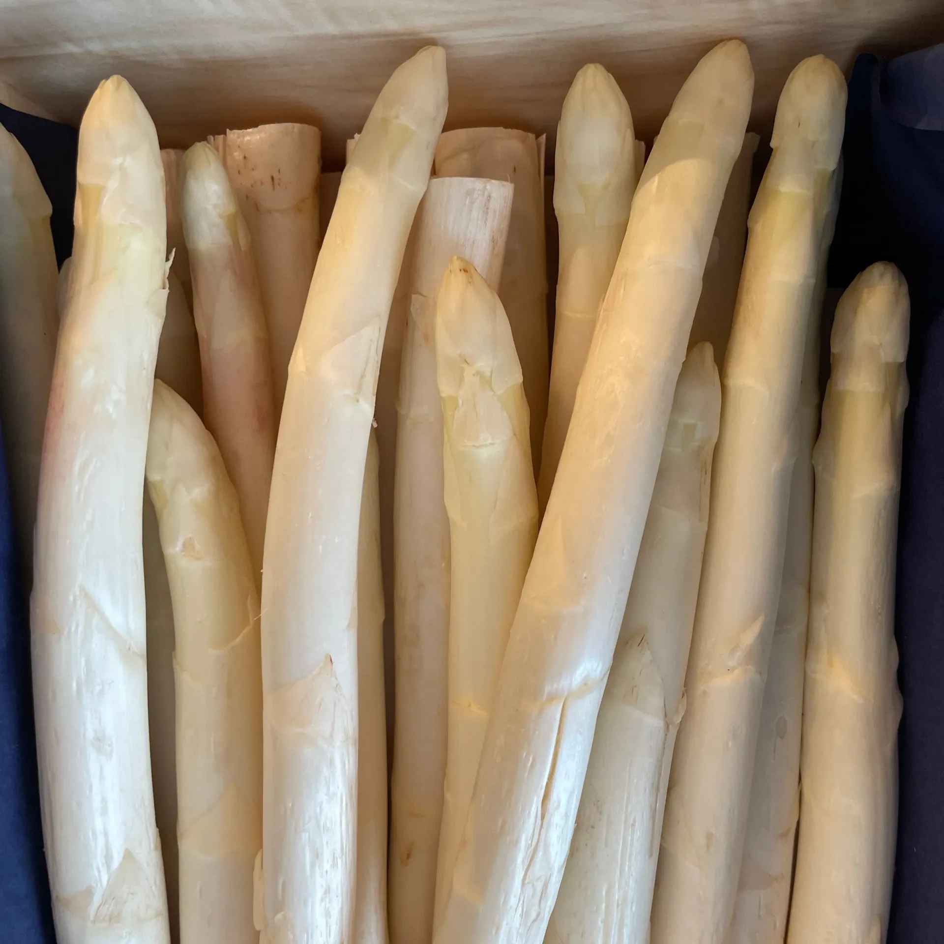 ASPERGES BLANCHES 22+ — Chinon, Loire