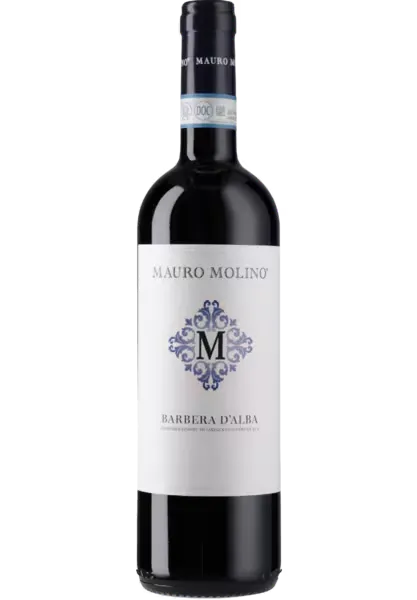 BARBERA D'ALBA 2024 — Mauro Molino