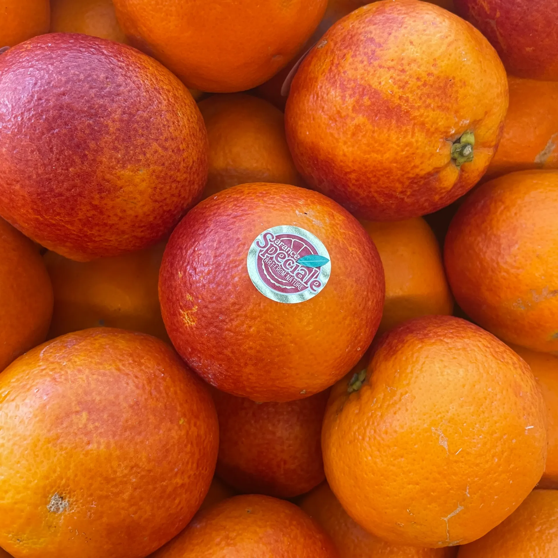 ORANGE SANGUINE TAROCCO IPPOLITO — Speciale, Sicile