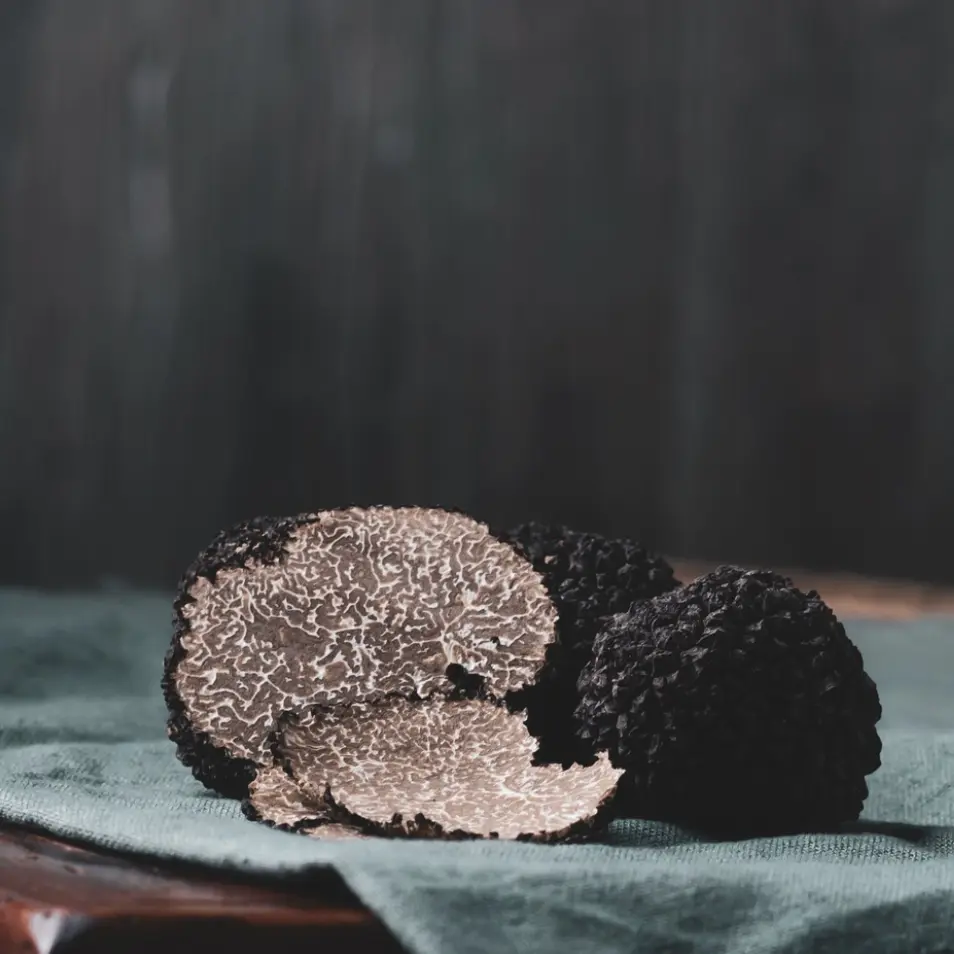 TRUFFE NOIRE MELANOSPORUM Brisures — France