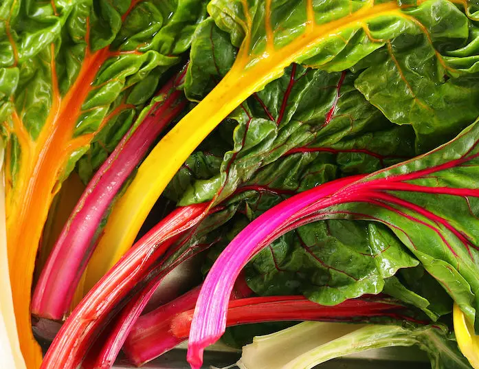 BLETTE COLOREE Botte — France