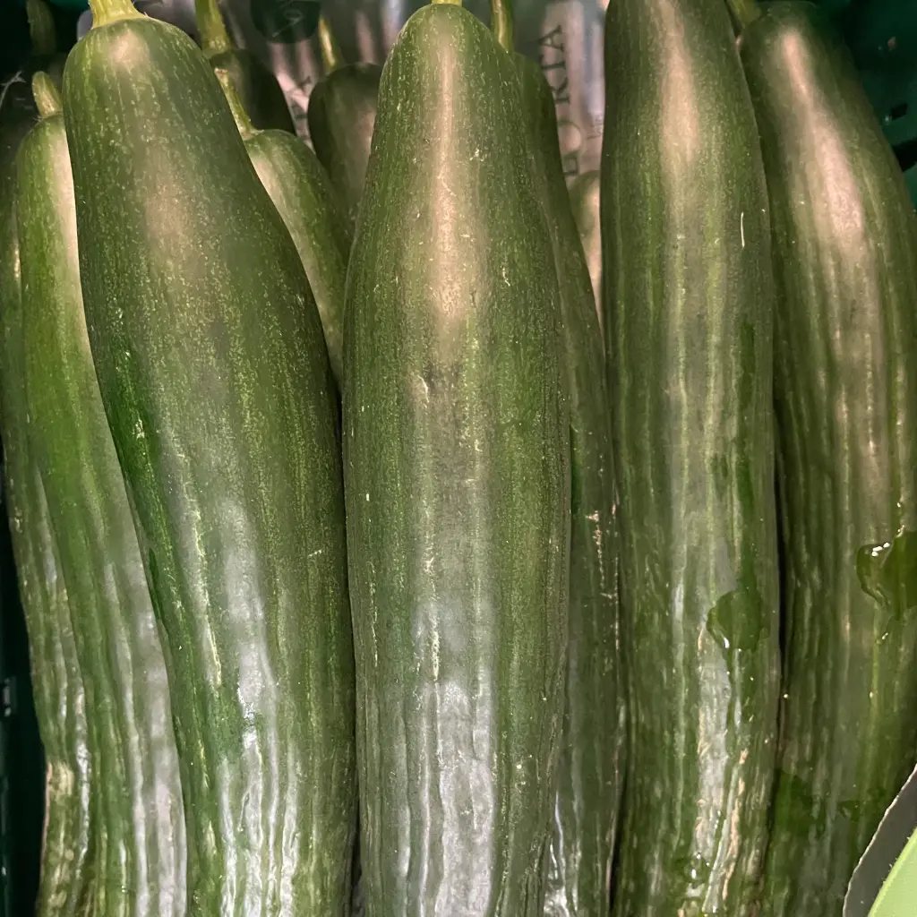 CONCOMBRE /PCE — Primafel, Espagne