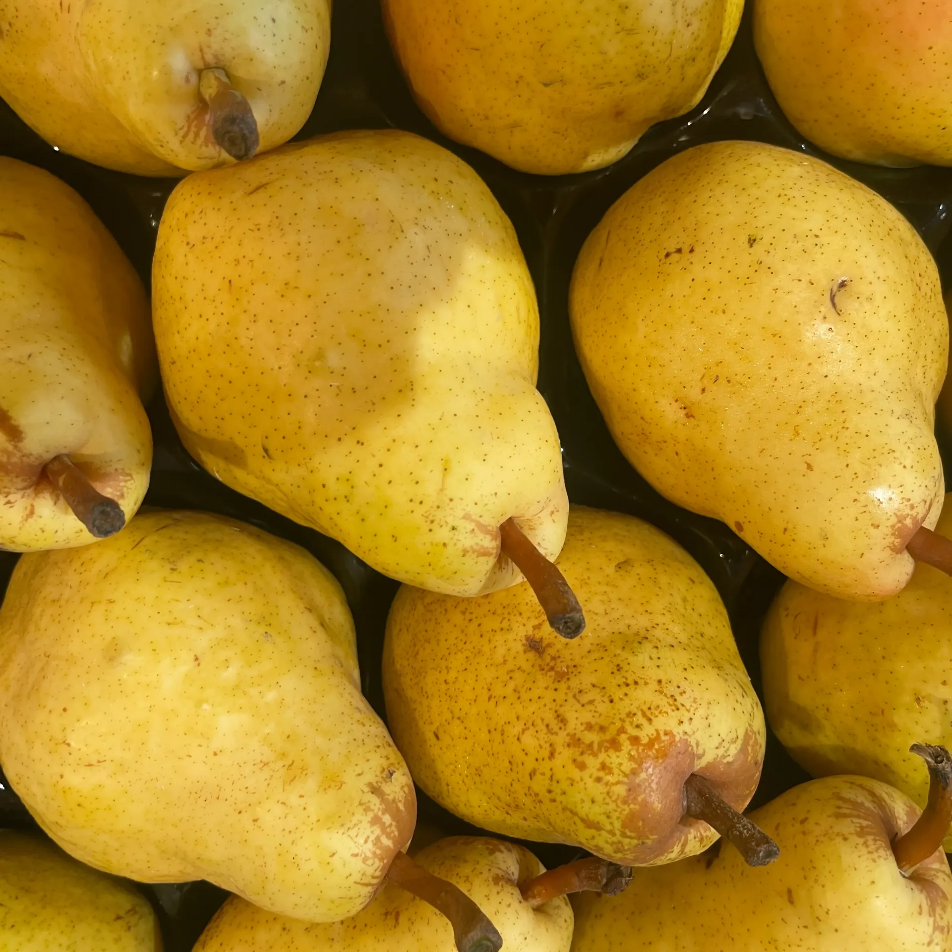 POIRE WILLIAM Verte — LEVEQUE RIEU, Cabannes