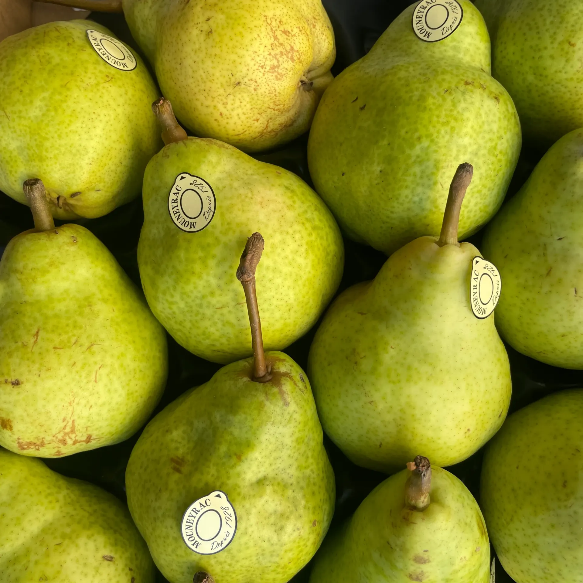 POIRE WILLIAM Verte — Saveur d'Antan