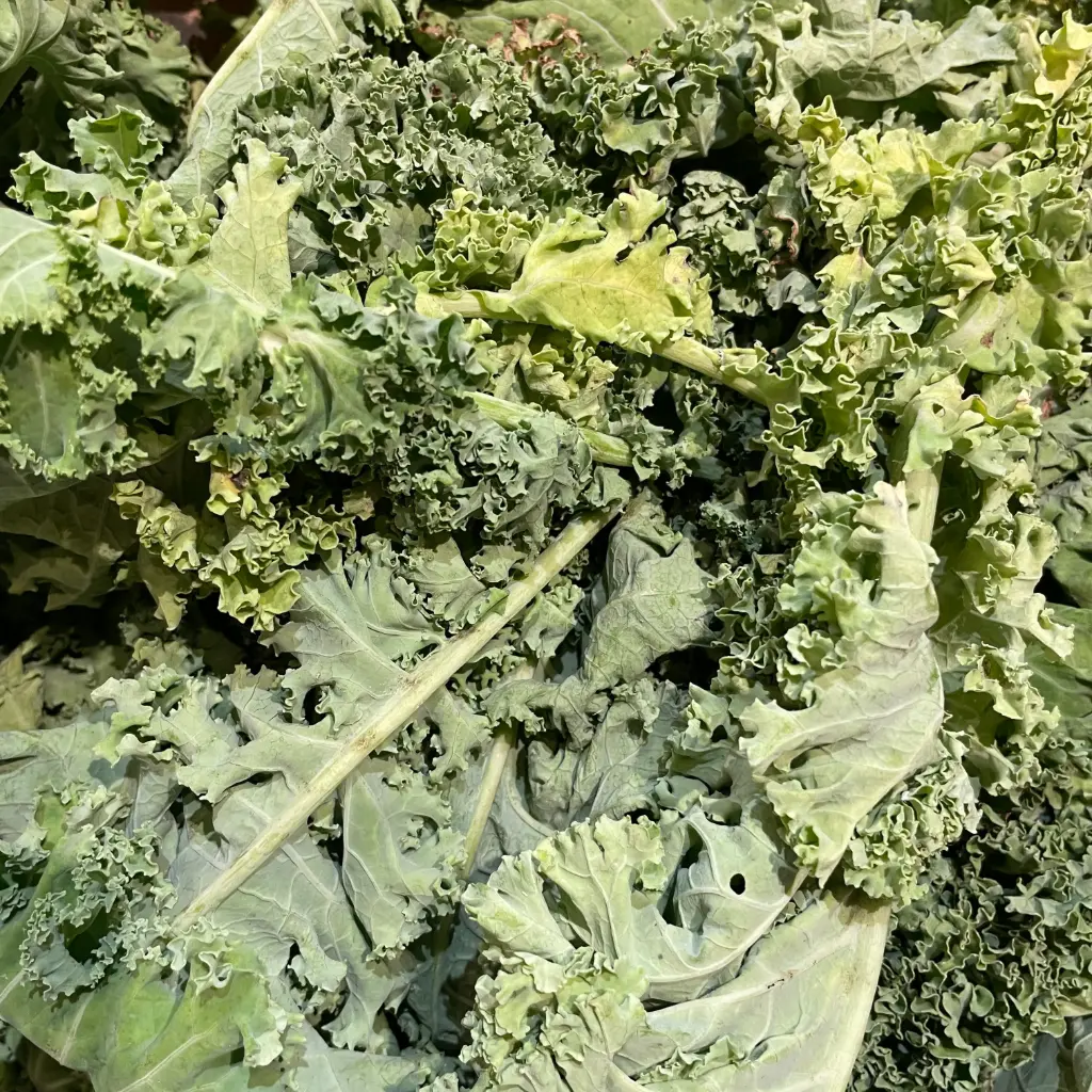 CHOU KALELETTE bio — De Blauwe Spie