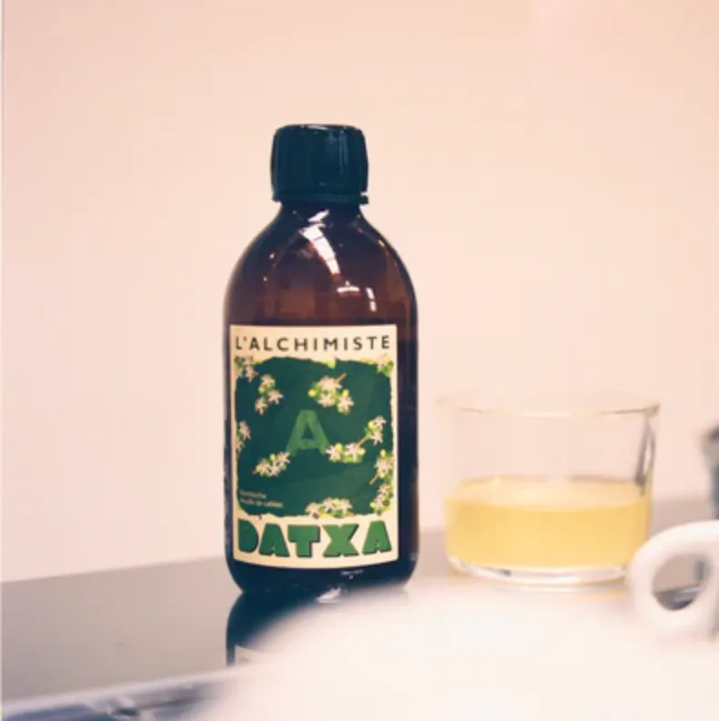 FEUILLE DE CAFEIER  — Kombuch Datxa