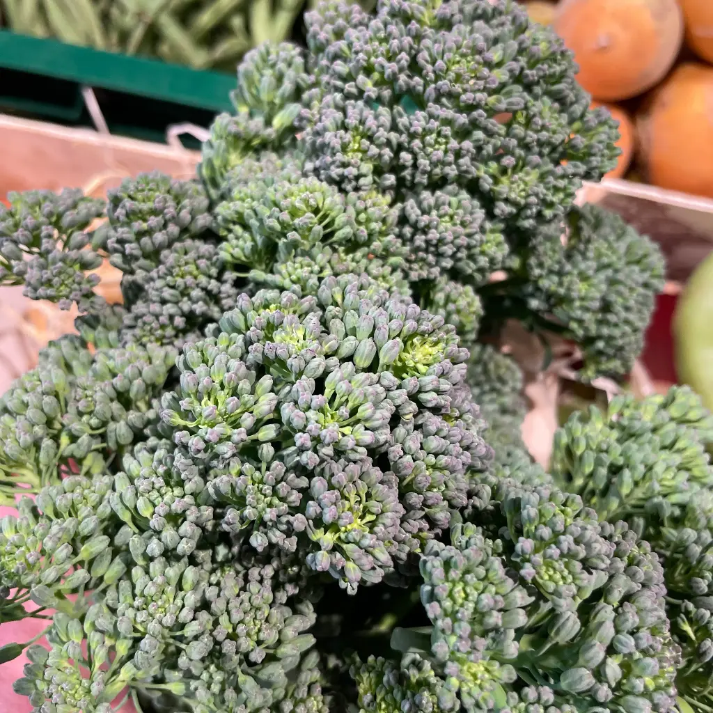 BROCOLINI bio — Groenlof