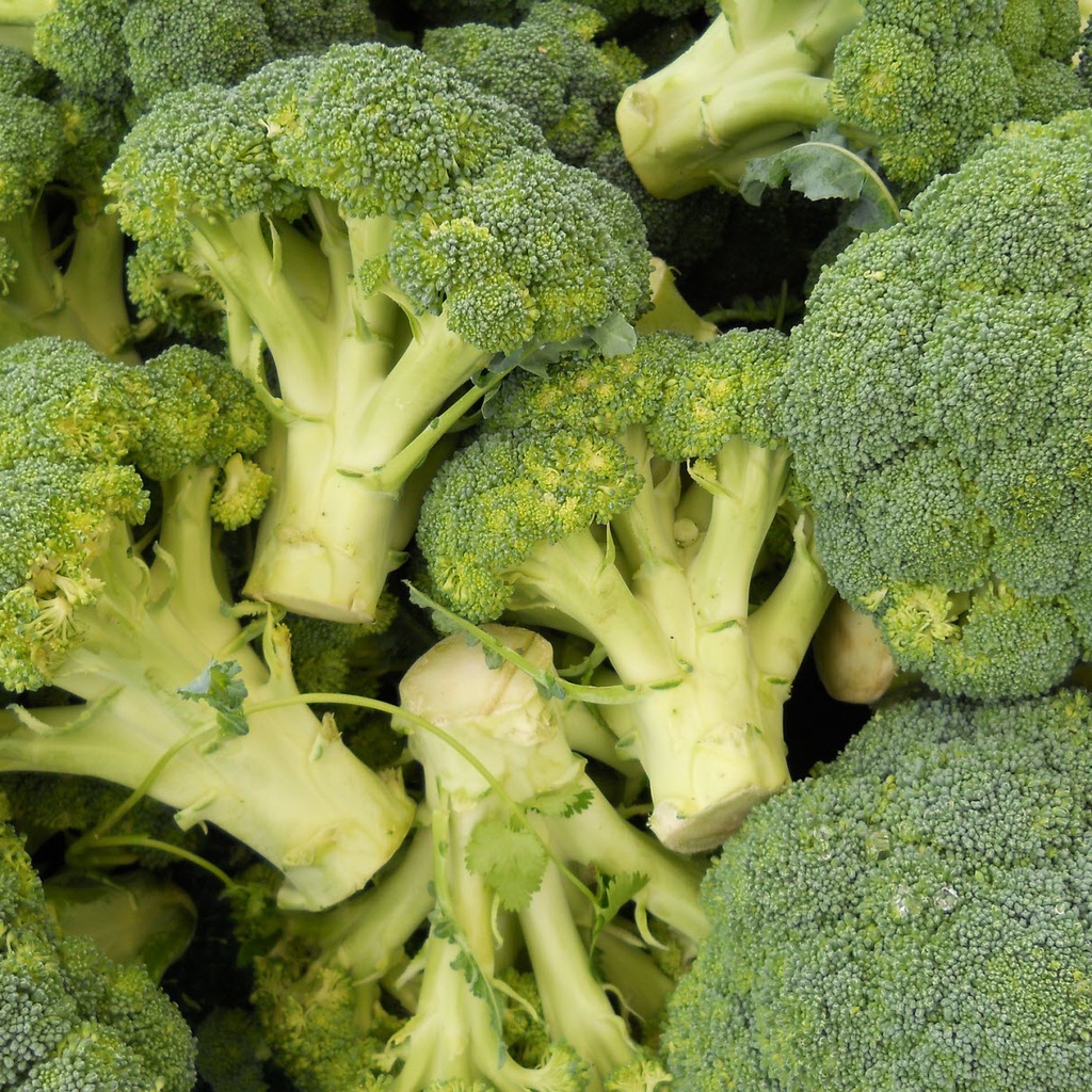 BROCOLI bio — France