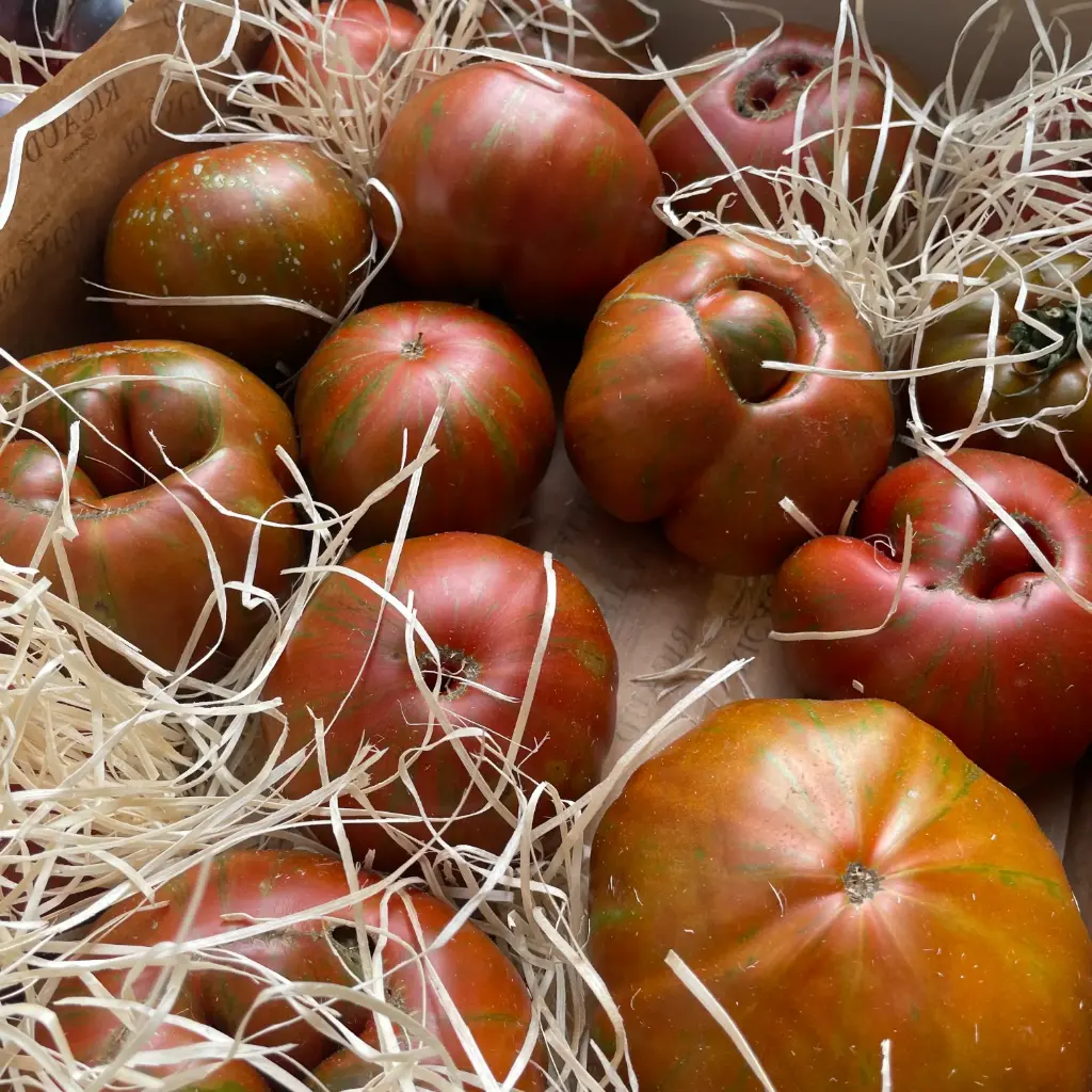 TOMATE NOIRE DE CRIMÉE — Famille Boyer, Les Cailloux, Rognonas