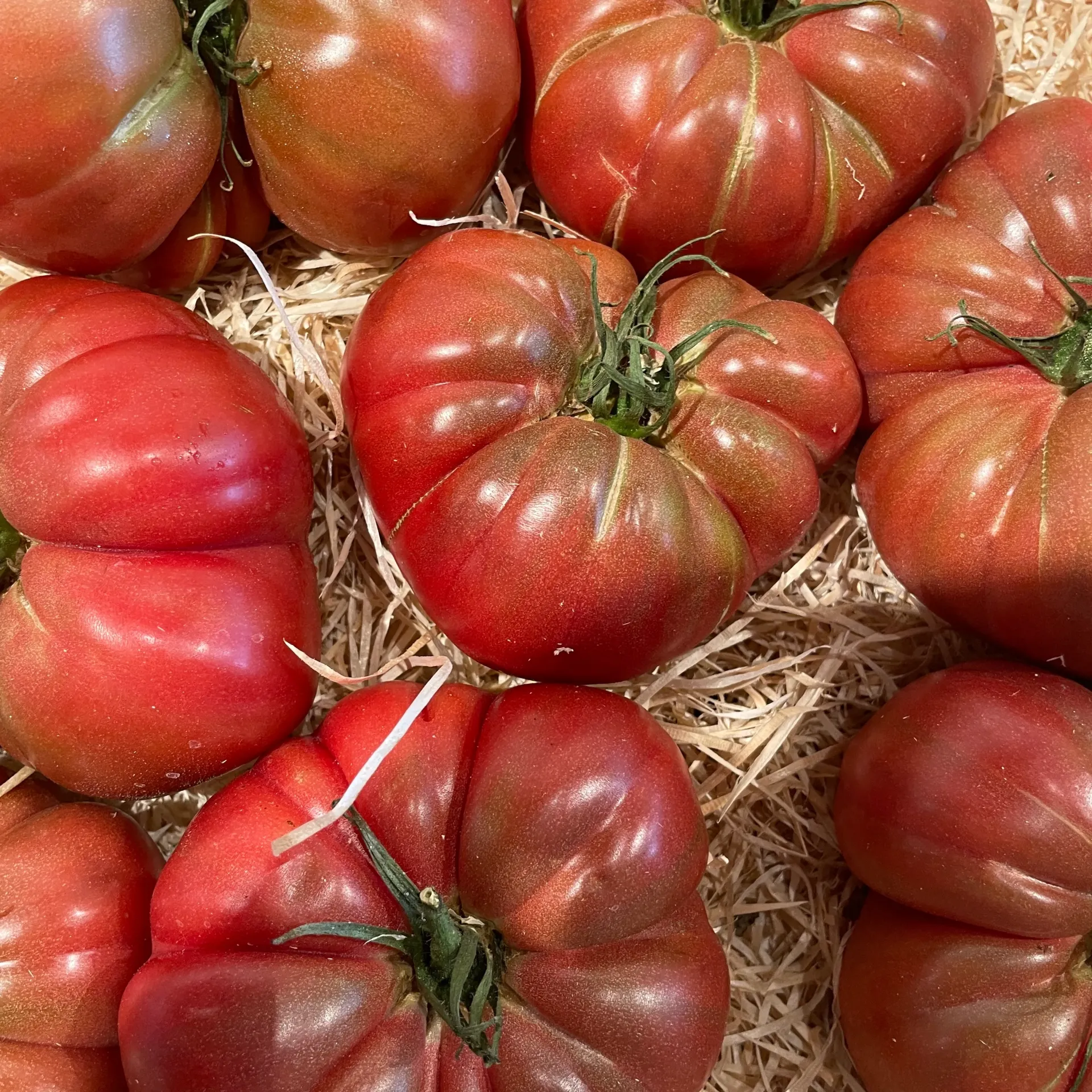TOMATE MARMANDE — Les Cailloux, Famille Boyer, Rognonas