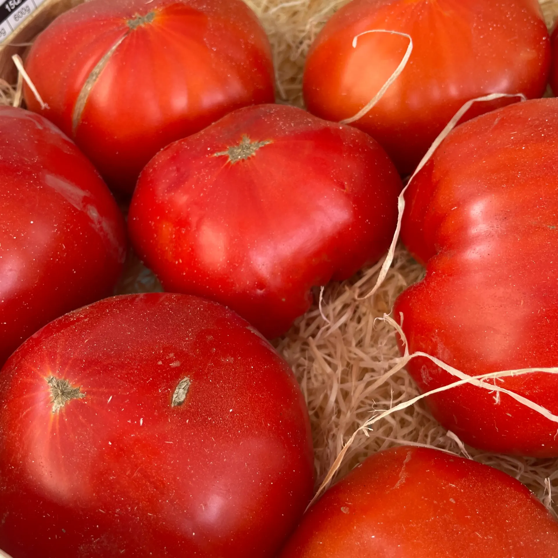 TOMATE COEUR DE BOEUF ROUGE — Les Cailloux, Famille Boyer, Rognonas