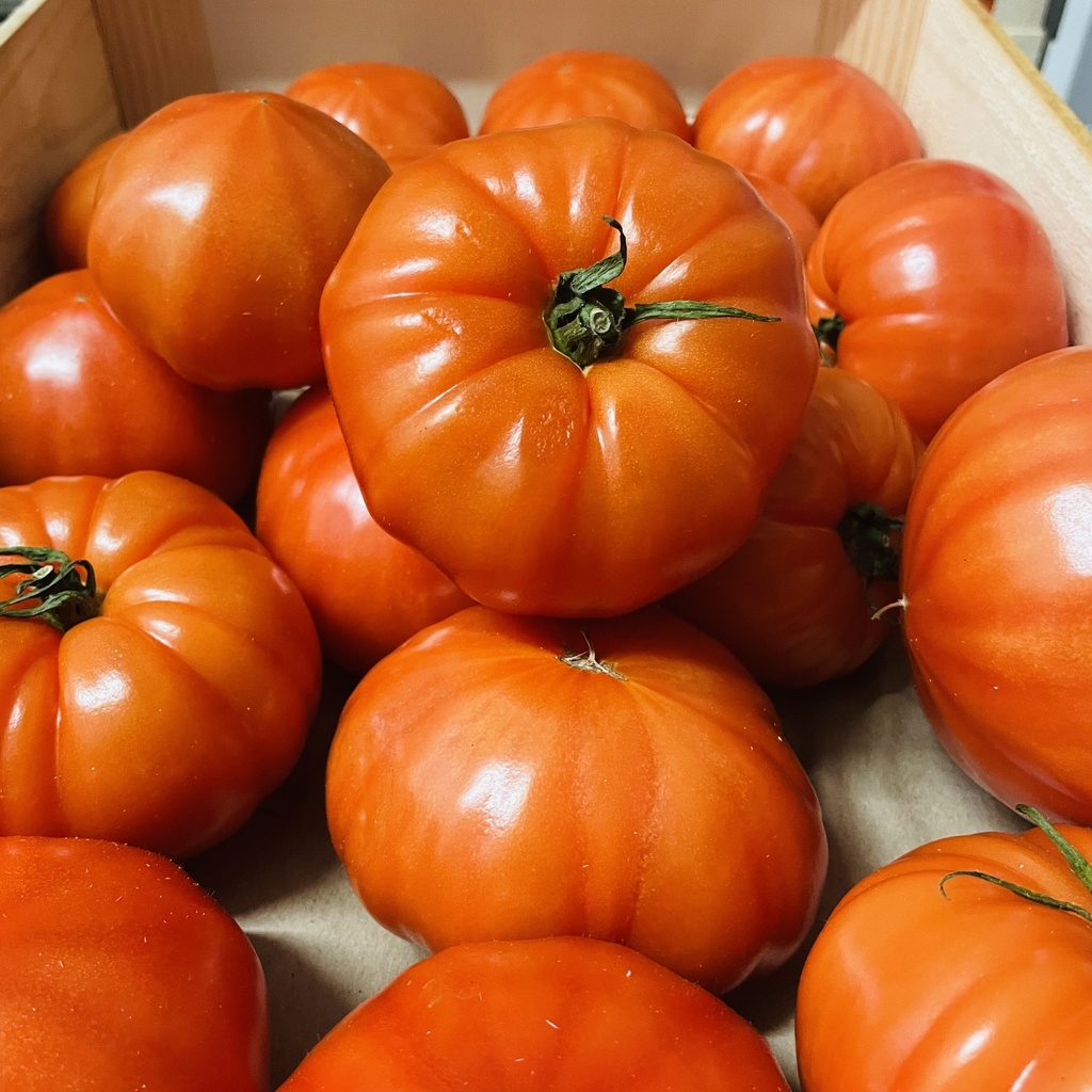 TOMATE ANCIENNE — Les Cailloux, Famille Boyer, Rognonas