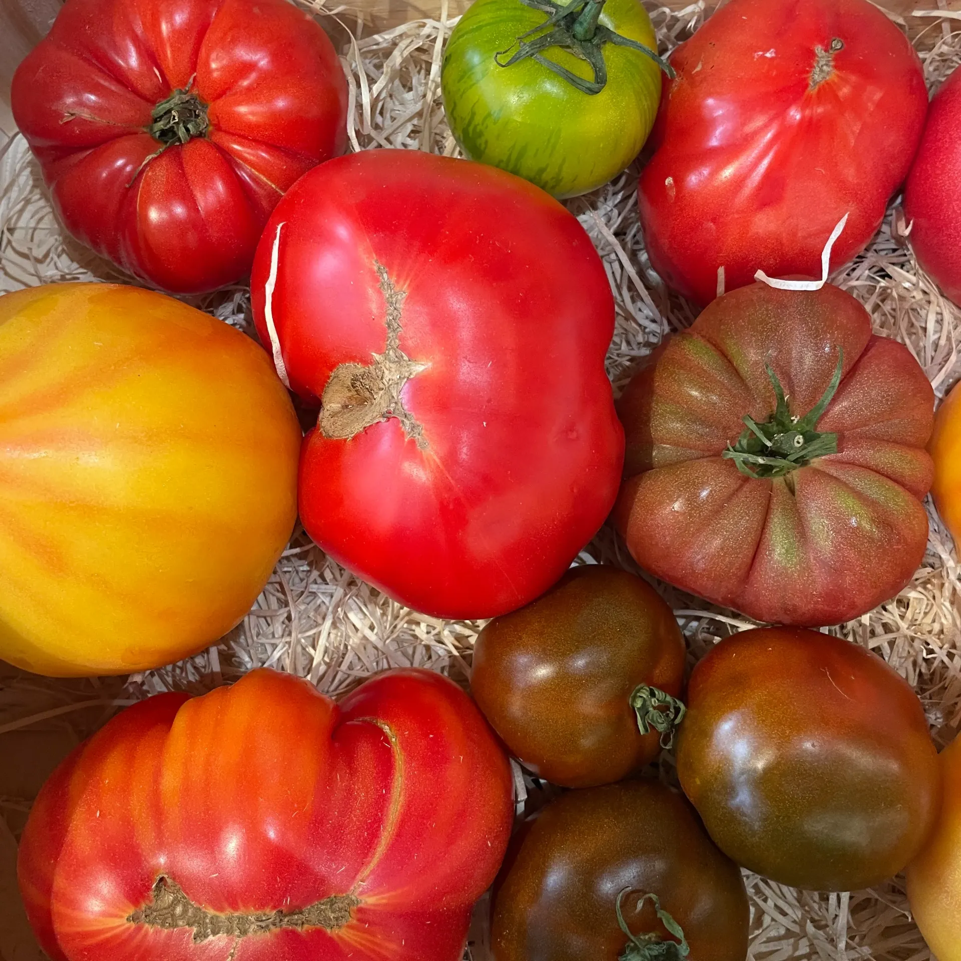 TOMATE ANCIENNE — Les Cailloux, Famille Boyer, Rognonas